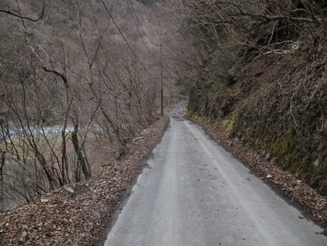 20190205hike (21)